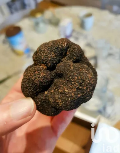 Terrain à Castelreng (11300)