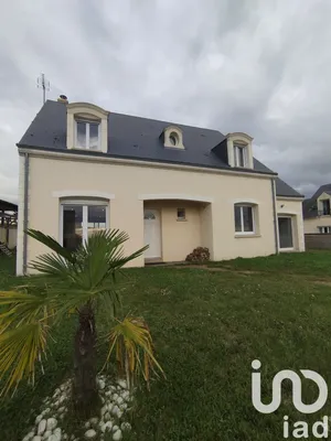 House at Naveil (41100)