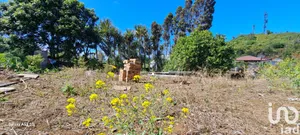 Building plot at Saint-Joseph (97480)