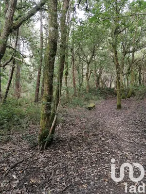 Terrain à Capbreton (40130)