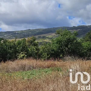 Terrain à bâtir à Saint-Denis (97490)