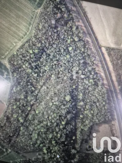 Terrain à CITRY (77730)