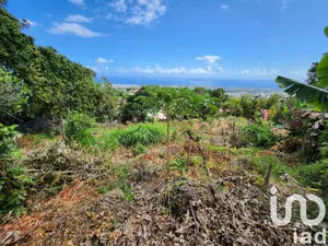 Terrain à Saint-Denis (97490)