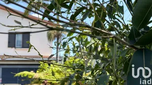 House at Le Tampon (97430)