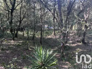 Building plot at Palaja (11570)