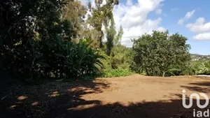 Terrain à bâtir à Saint-Denis (97417)