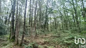 Land at BRISSAC LOIRE AUBANCE (49250)