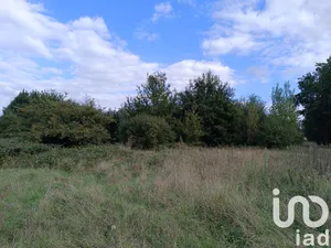 Terrain à bâtir à PRUNIERS EN SOLOGNE (41200)