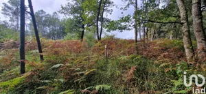 Land at beauronne (24400)
