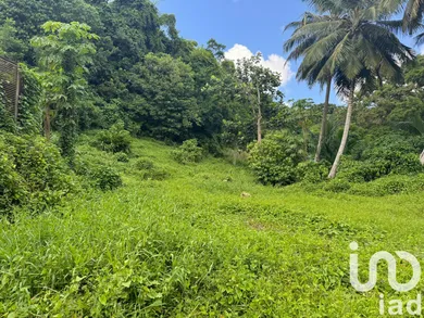 Building plot at Les Abymes (97139)