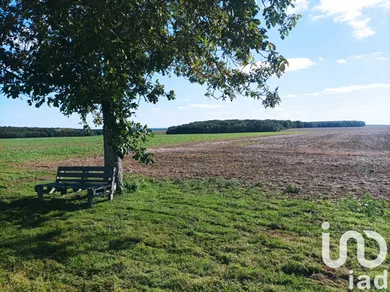 Building plot at Rahart (41160)