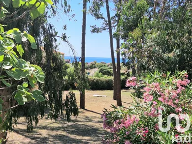 Studio à Calcatoggio (20111)