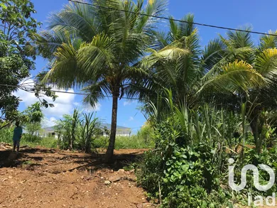 Building plot at Lamentin (97129)