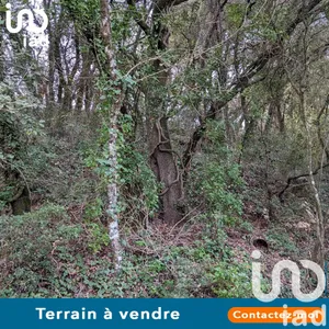 Land at Lorgues (83510)