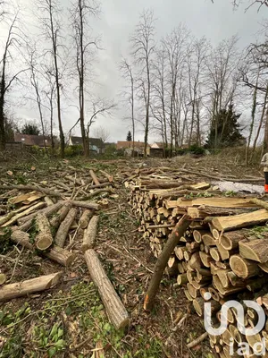 Building plot at Larchant (77760)