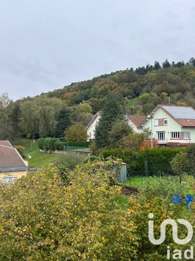 Maison à Saint-Dié-des-Vosges (88100)