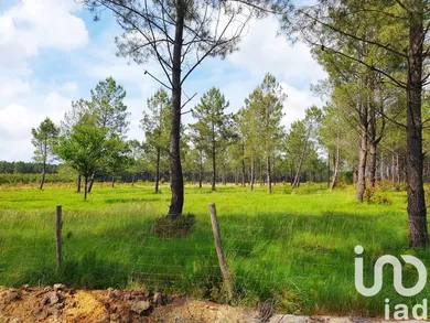 Farm land at Parentis-en-Born (40160)