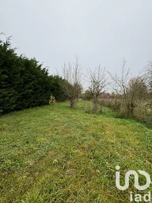 Land at Saint-Broingt-le-Bois (52190)