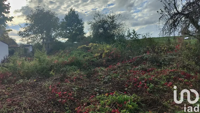 Terrain à Saint-Maurice-Thizouaille (89110) · 41 000 €