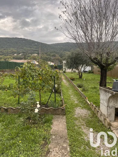 Maison traditionnelle à Cazilhac (34190)