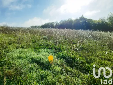Terrain à bâtir à Montoire-sur-le-Loir (41800) — 2/2