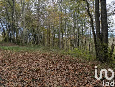Terrain loisirs à Lescure (09420)