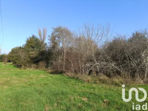 Terrain loisirs à Pruniers-en-Sologne (41200)