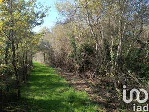 Terrain loisirs à Pruniers-en-Sologne (41200)