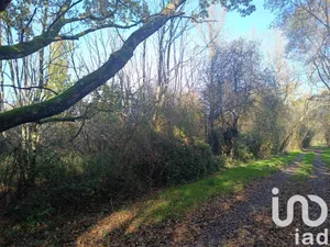Terrain loisirs à Pruniers-en-Sologne (41200)