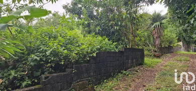 Building plot at SAINT-BENOIT(SAINTE-ANNE) (97437)