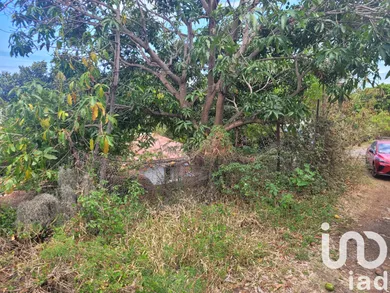 Building plot in Saint-Leu (97424)