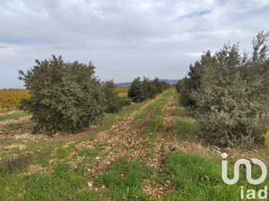 Terrain agricole  à Sainte Cécile les Vignes (84290)