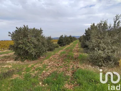 Terrain agricole  à Sainte Cécile les Vignes (84290)