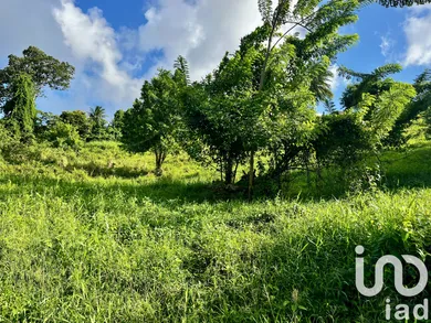 Terrain à bâtir à Le Lamentin (97232)