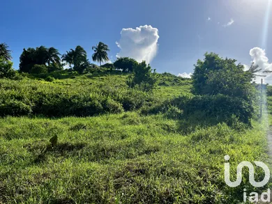 Terrain à bâtir à Le Lamentin (97232)