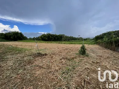 Building plot at Lamentin (97129)