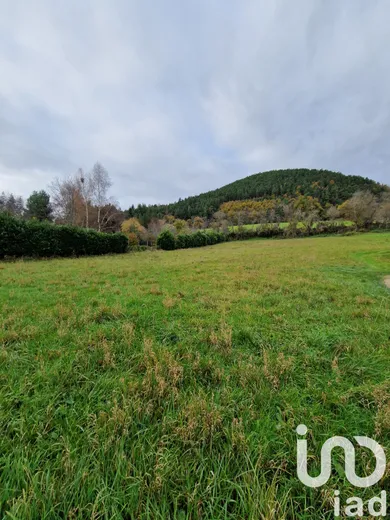 Land at Saint-Étienne-Lardeyrol (43260)