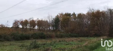 Terrain loisirs à Villefranche-sur-Cher (41200)