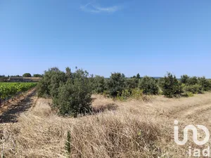 Terrain agricole  à sainte cecile les vignes (84290)