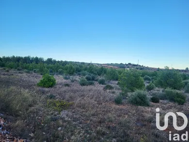 Terrain agricole à Salses-le-Château (66600)