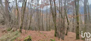 Terrain à Saint-Georges-d'Hurtières (73220)