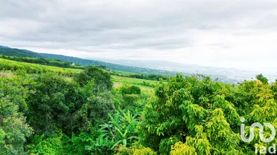 Terrain à bâtir à SAINT LOUIS (97450)