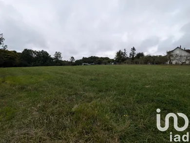 Terrain à bâtir à Morée (41160)