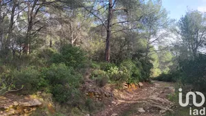 Terrain à LE BEAUSSET (83330)