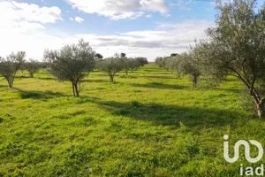 Farm land at Paulhan (34230)