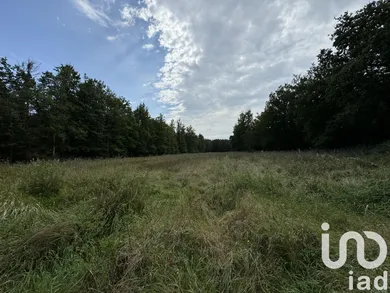 Terrain à Villers-en-Argonne (51800)
