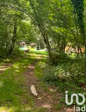 Terrain à Argences (14370)