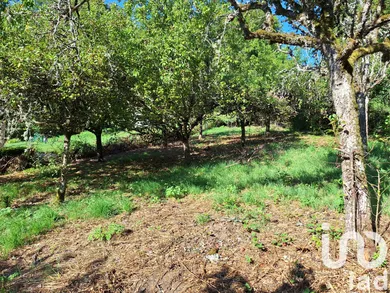 Terrain à bâtir à Crandelles (15250)