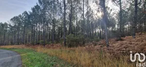 Land at beauronne (24400)