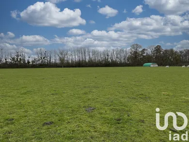 Building plot in Chassenard (03510)